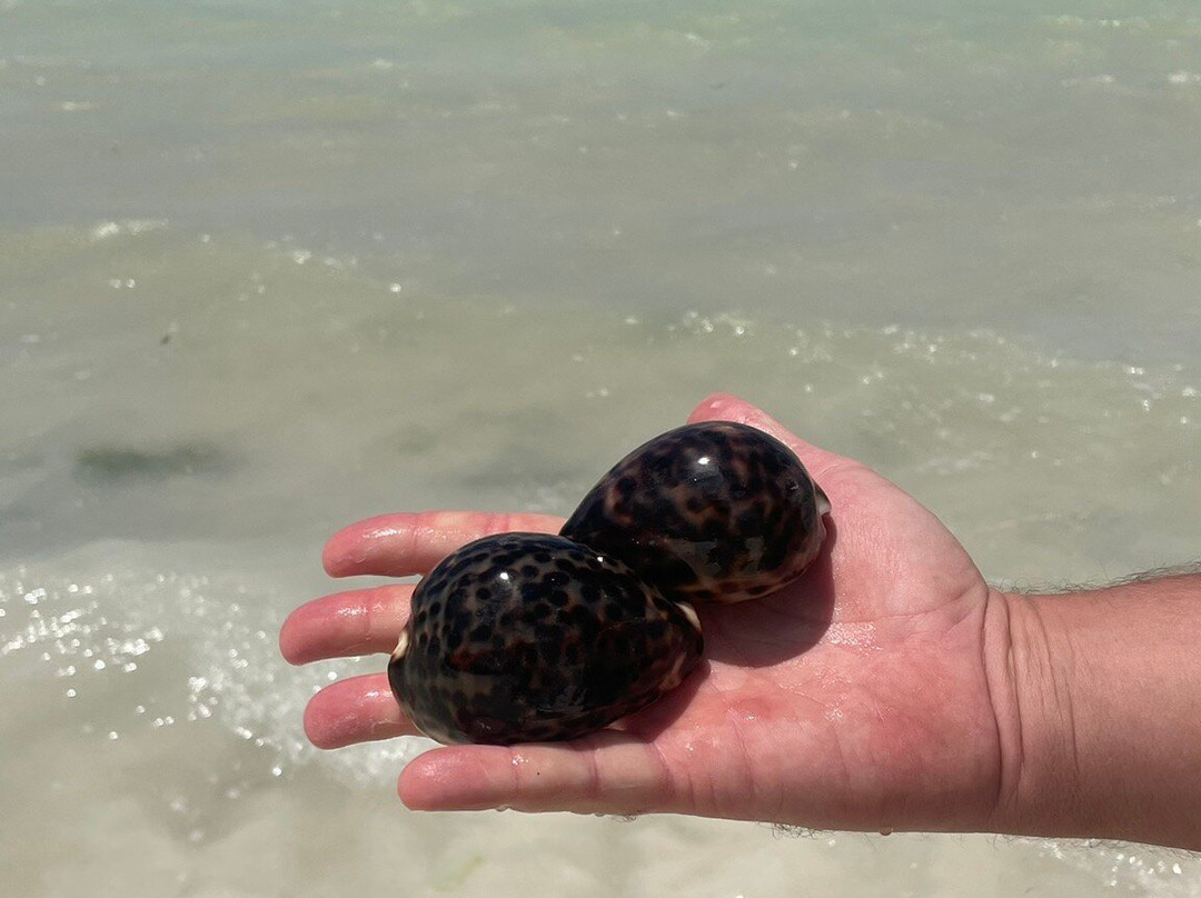 Uroa Bay-乌罗阿必去景点