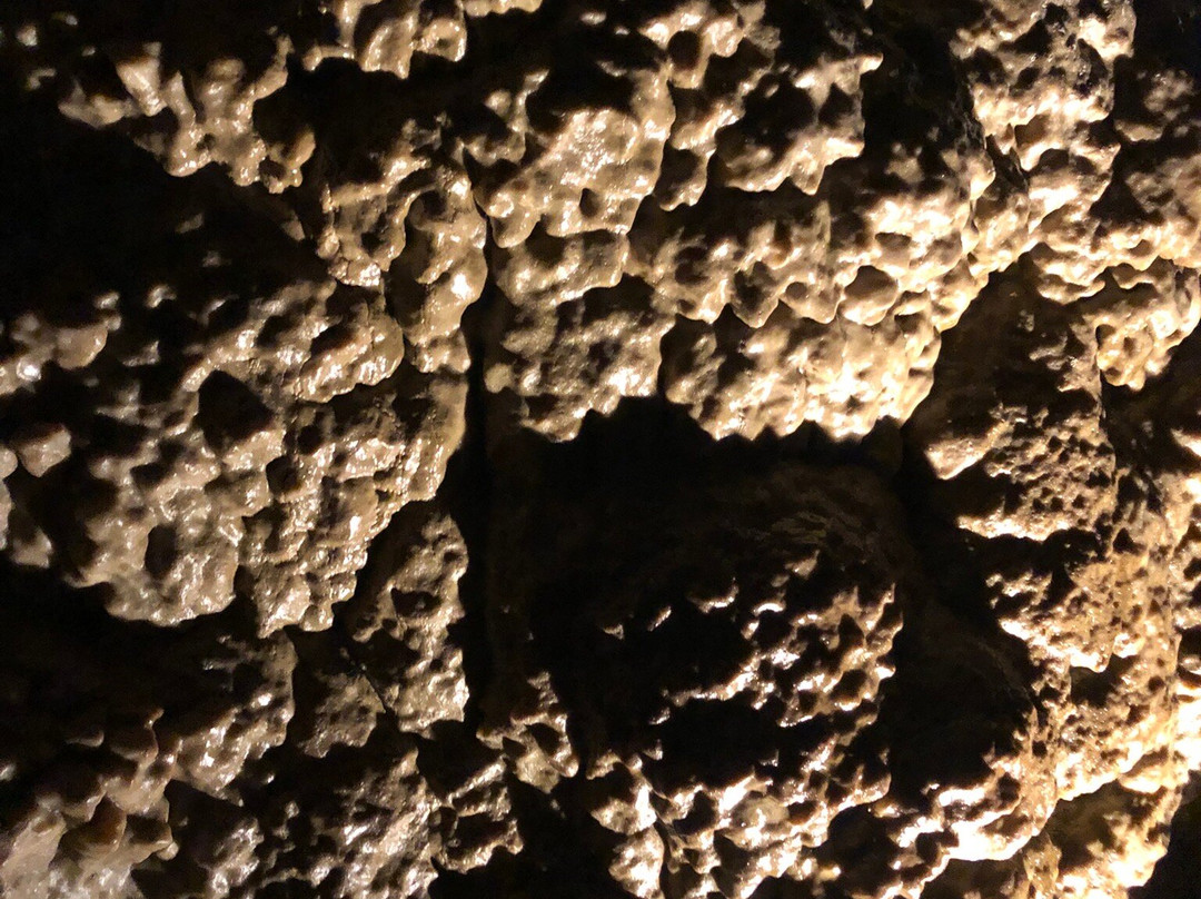 Oregon Caves National Monument And Preserve-凯夫章克申必去景点