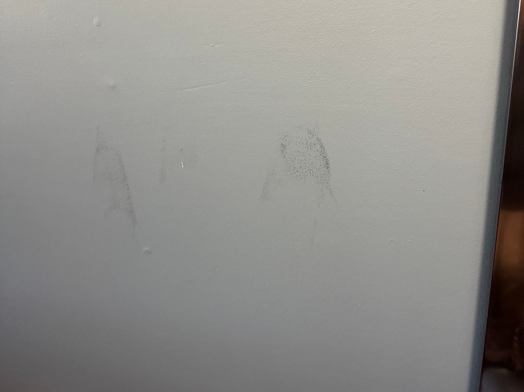 AmeriVu Inn & Suites of New Richmond主图