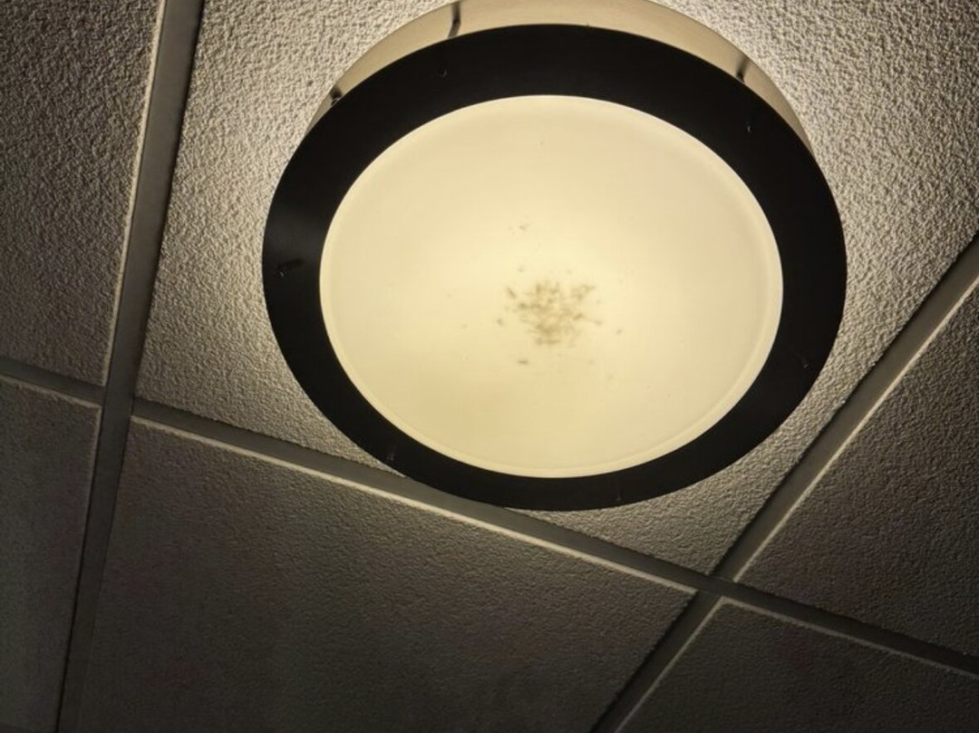 Residence Inn by Marriott Midland主图