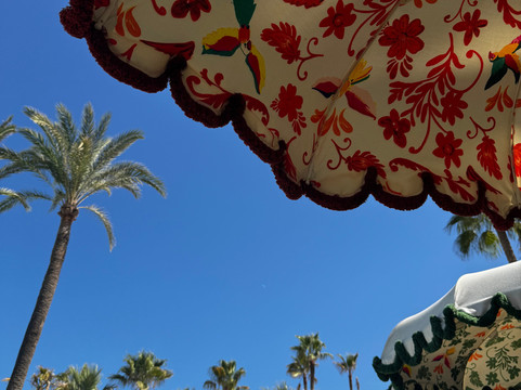 马贝拉酒店住宿-Don Carlos Marbella