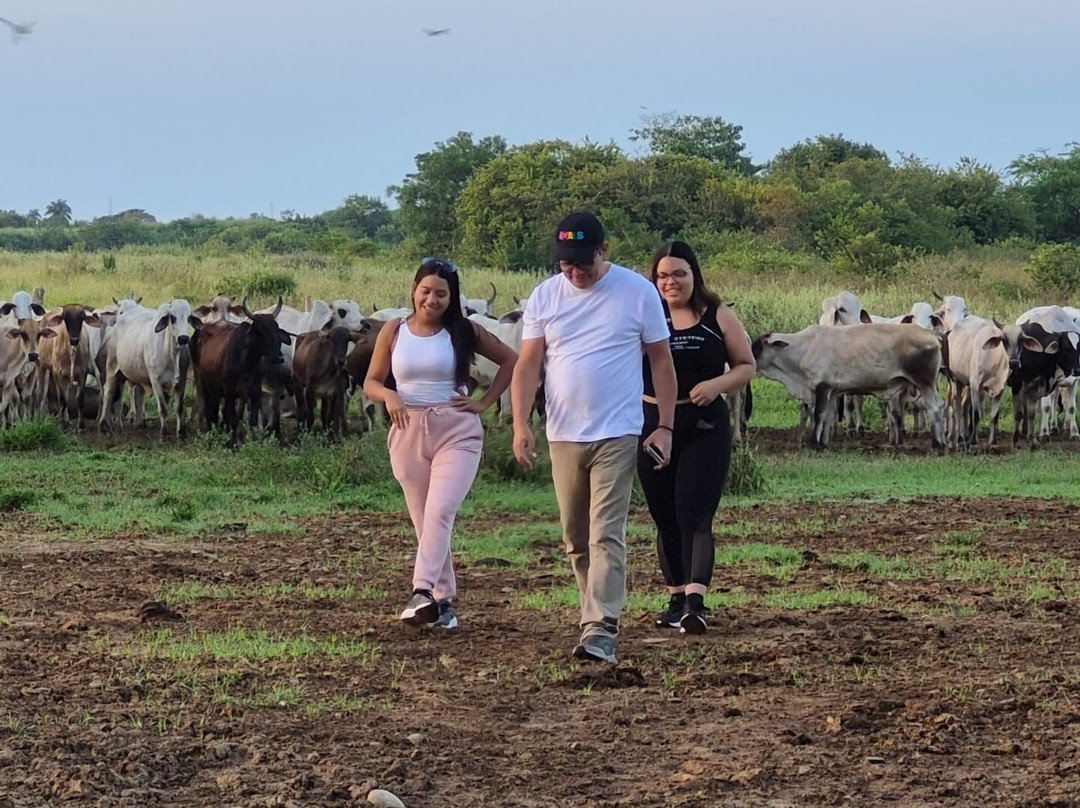 Posada Agroturistica Don Marcos主图