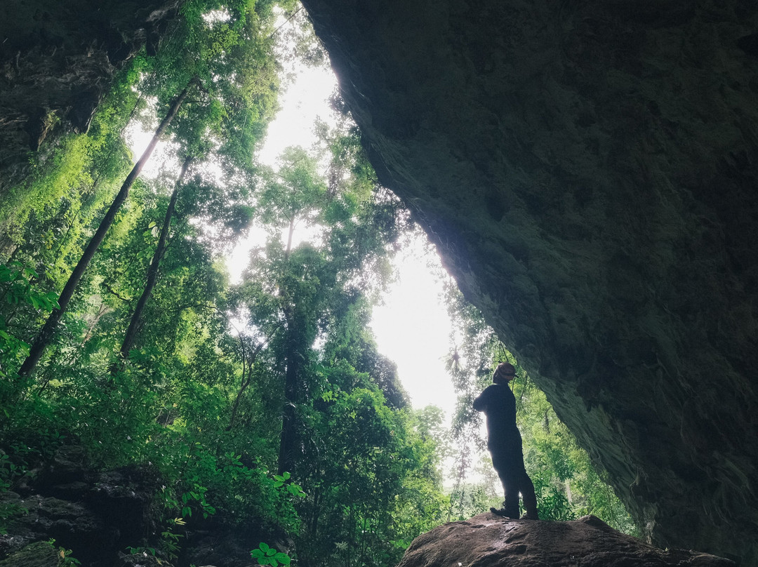 Jungle Boss Tours-峰牙－己榜国家公园必去景点