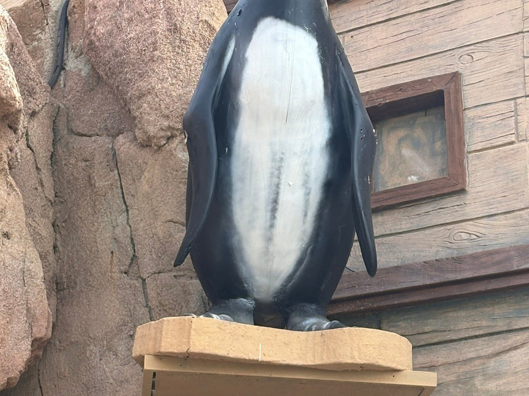 海洋世界水族馆-贝尼多姆必去景点