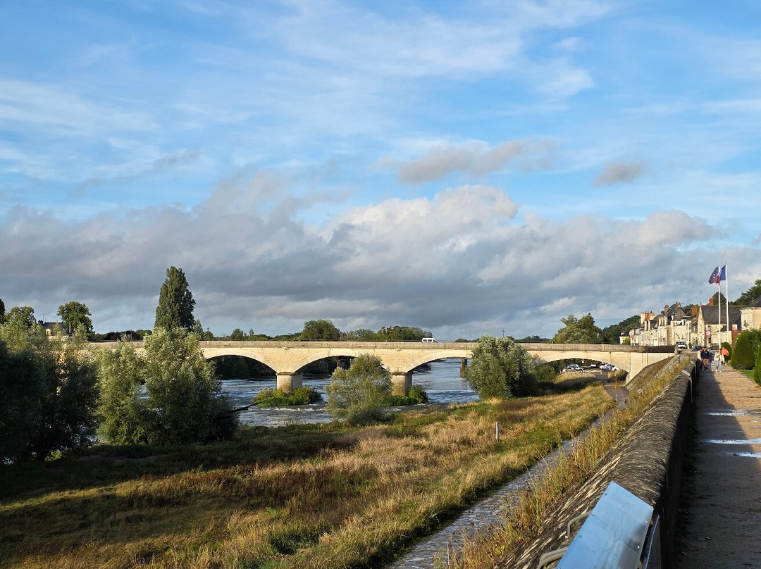 Pont Du Maréchal Leclerc-昂布瓦斯必去景点