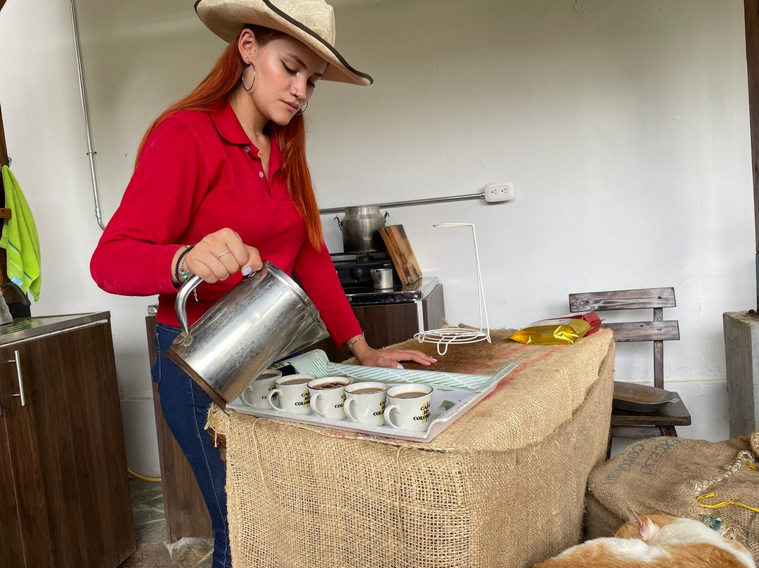 Finca Cafetera Don Elias-萨伦托必去景点