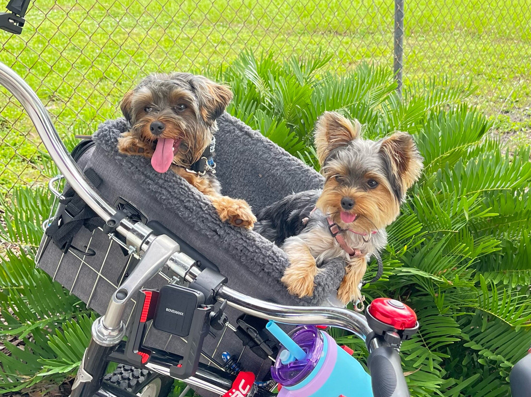 Satellite Beach Dog Park