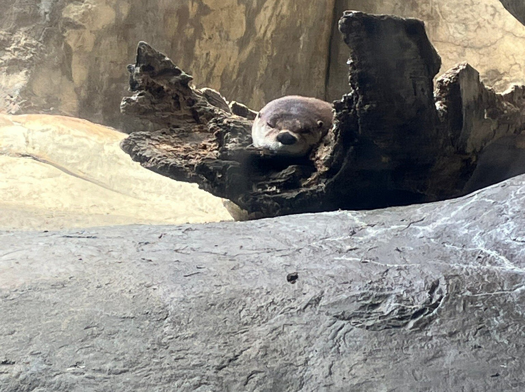 梅蒙德庄园-里士满必去景点