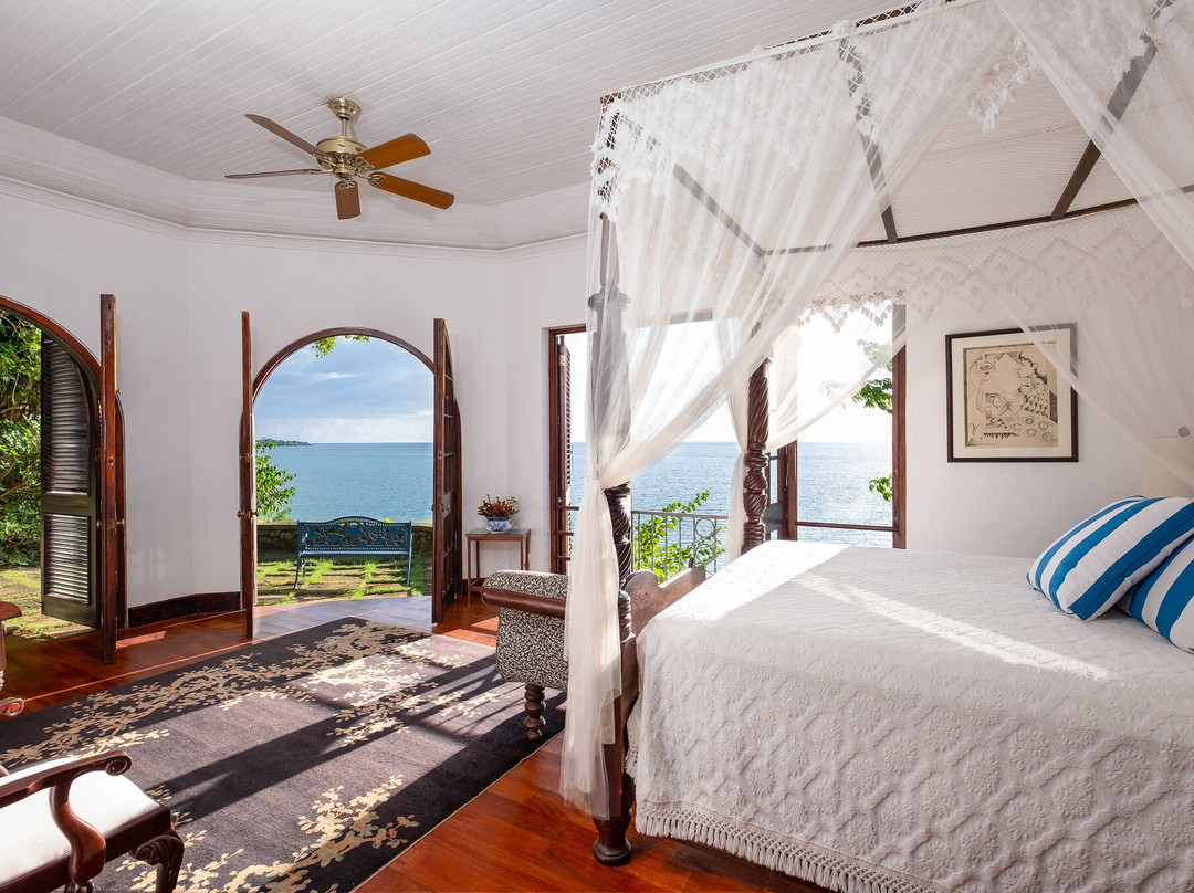 MycoMeditations Psilocybin-Assisted Retreats-瑰宝滩必去景点