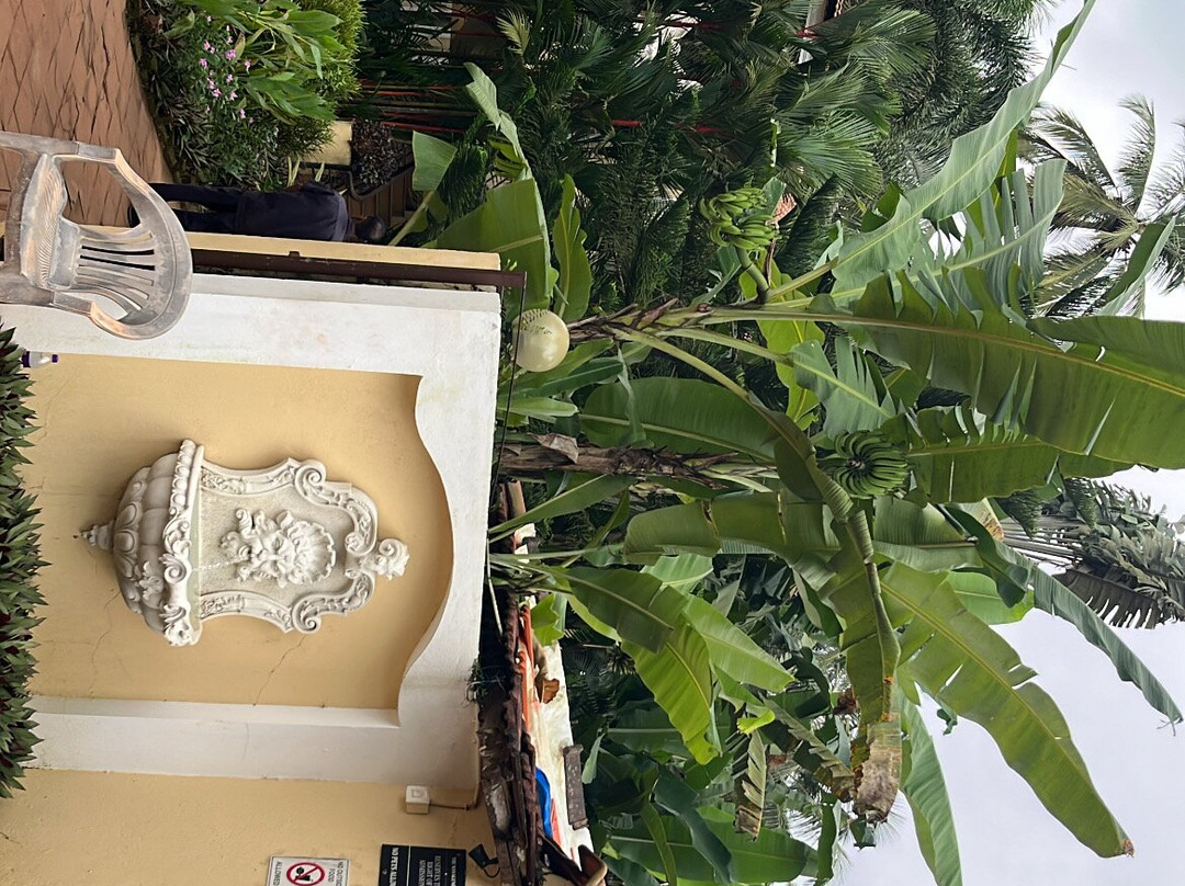 DEVASTHALI - the Valley of Gods主图