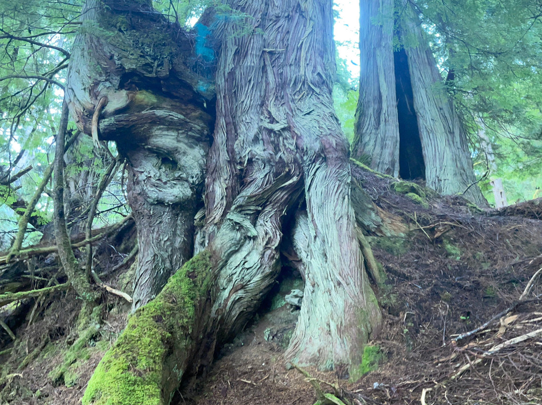 Moresby Explorers-Sandspit必去景点