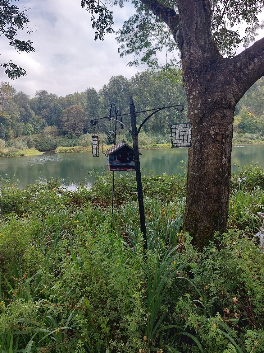 Lewis River Inn-官方