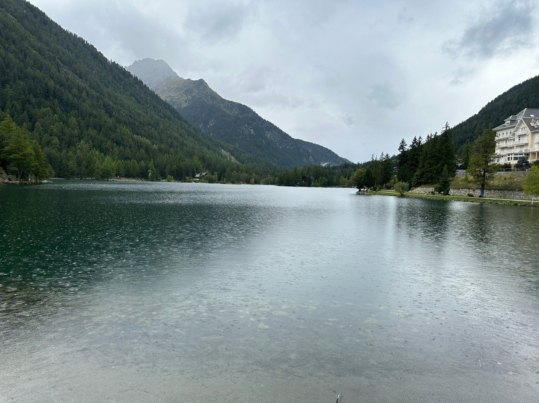 Lac Alpin de Champex-Champex必去景点
