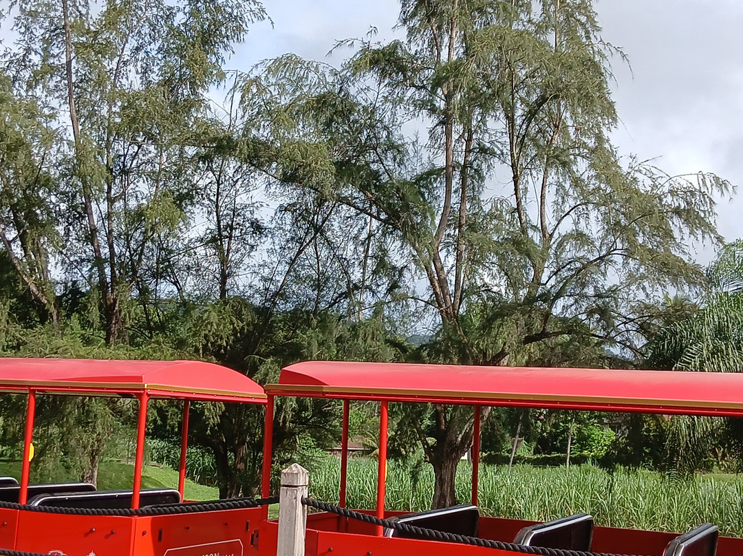 Distillerie Maison La Mauny-Riviere-Pilote必去景点