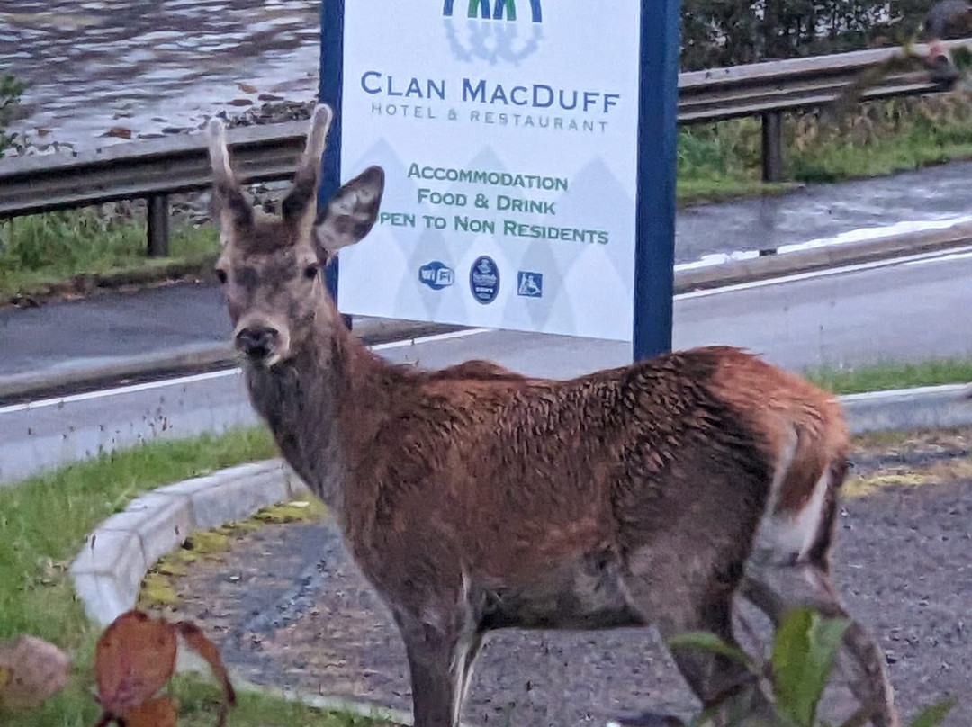 克兰麦克达福酒店主图
