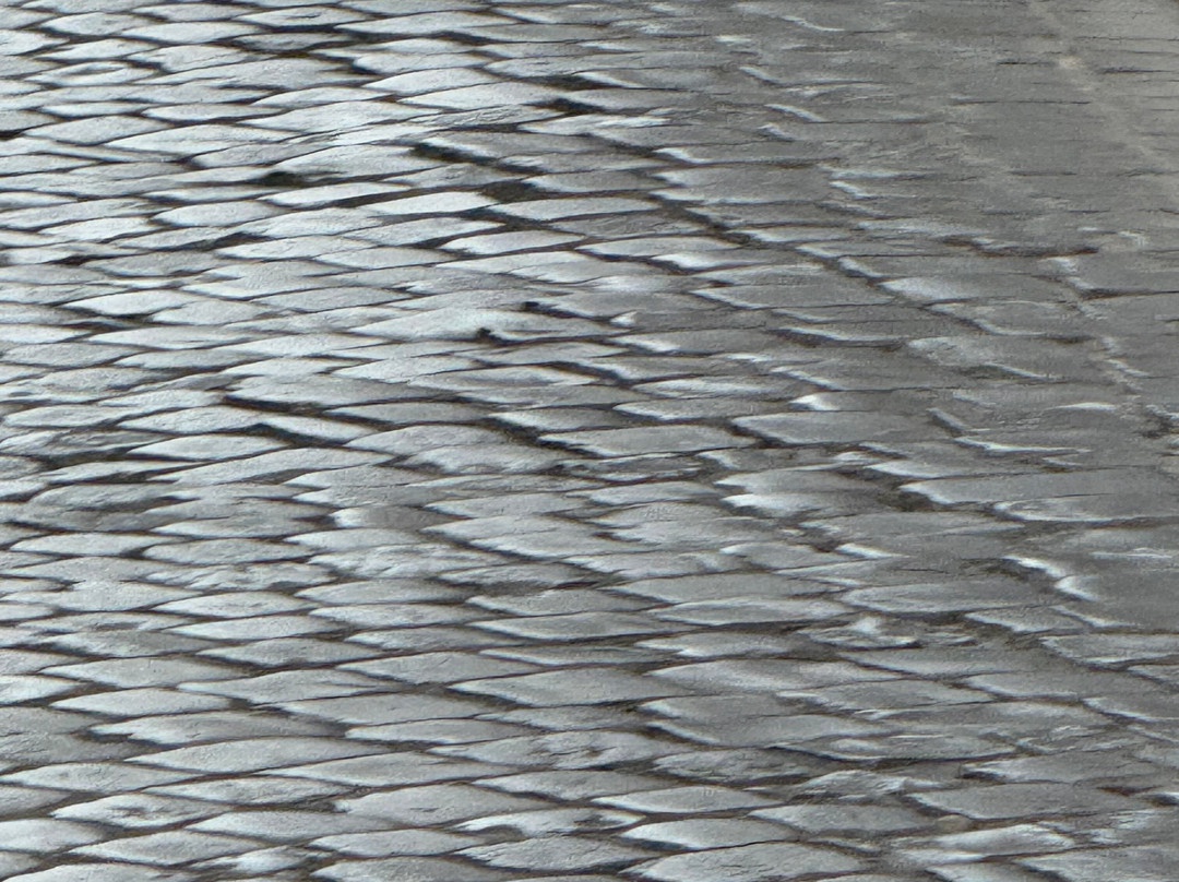 Cooperativa Radiotaxi 3570-罗马必去景点