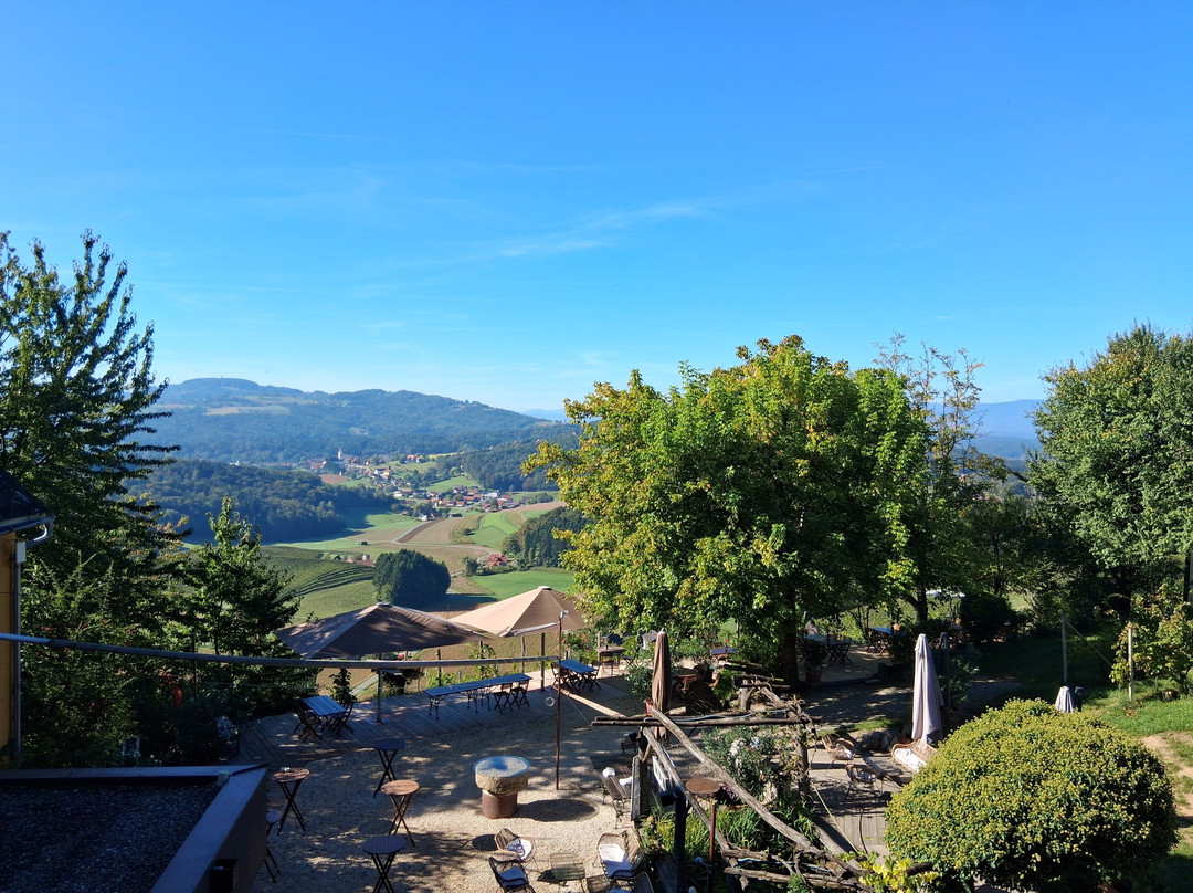 Weingartenhotel Harkamp Sudsteiermark主图