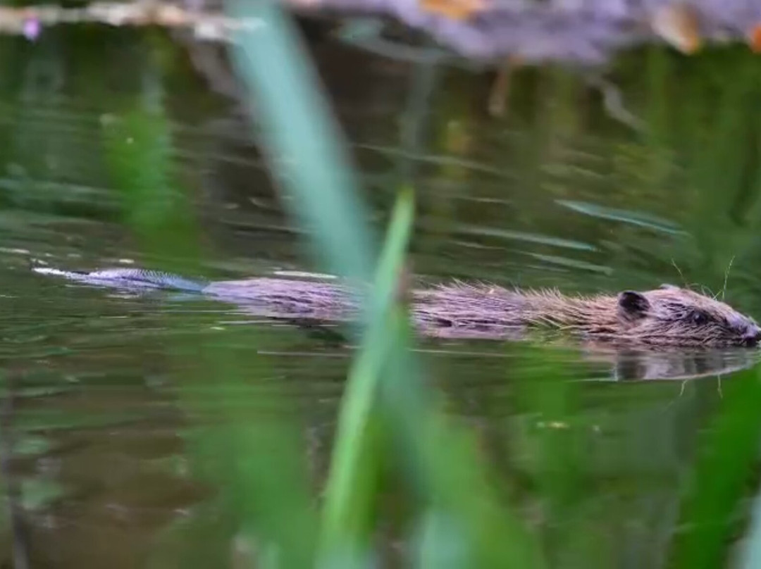 Spains Hall Estate-Finchingfield必去景点