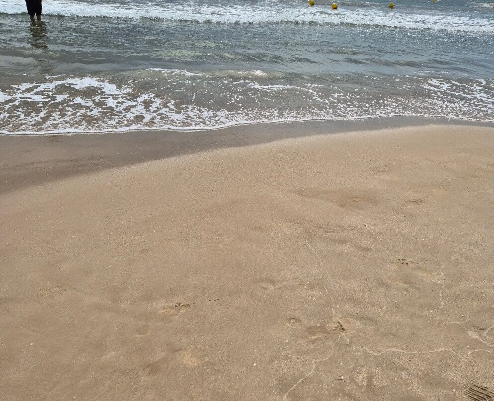 Playa de Ponent-萨洛必去景点