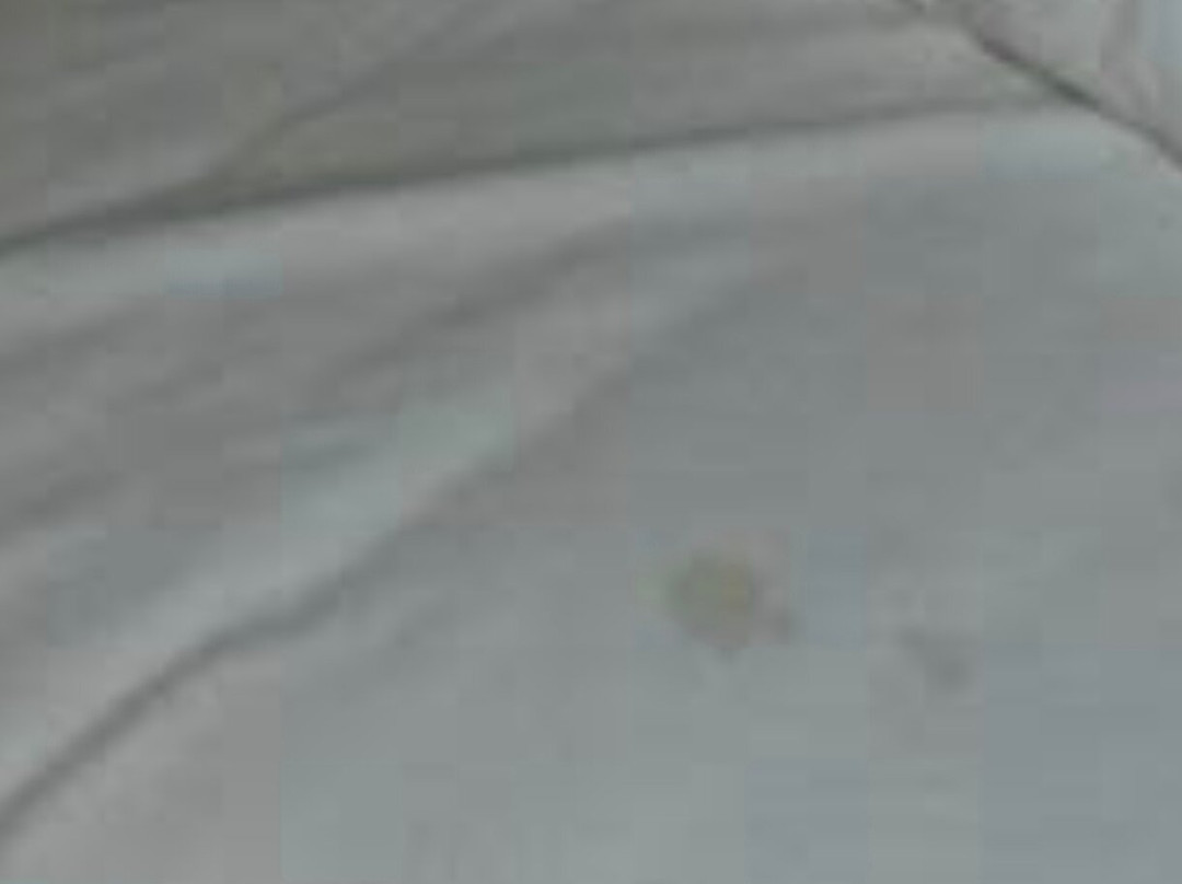 Tulip Inn Rym El Djamil Annaba主图