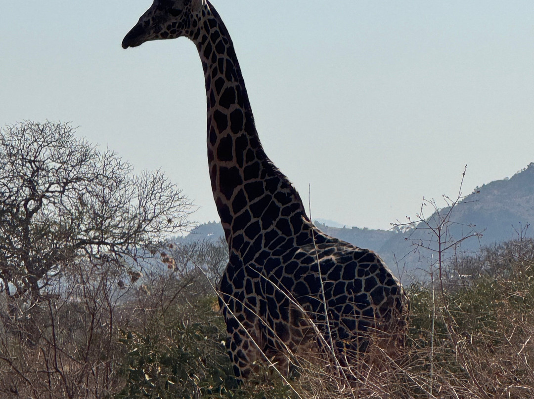 Beppe Watamu-瓦塔木必去景点