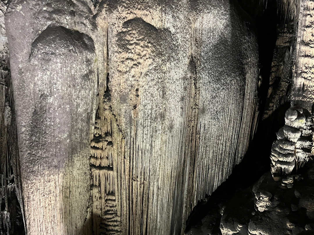 Cuevas de Arta-卡普德佩拉必去景点