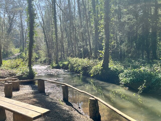 Tintern Abbey-Saltmills必去景点