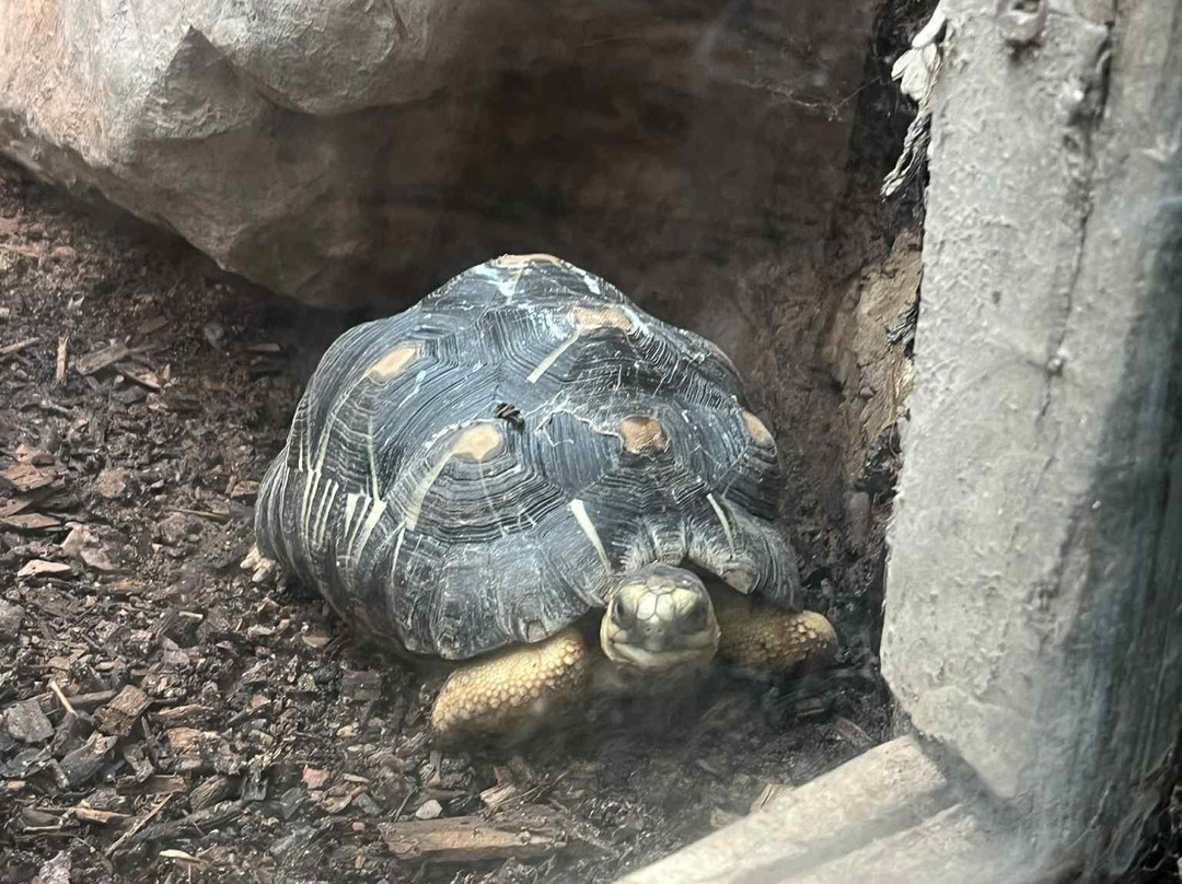 Parc Zoologique Cerza-Hermival-les-Vaux必去景点