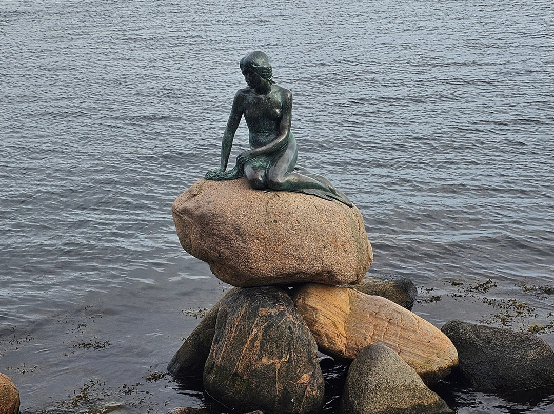 Copenhagen B&B主图