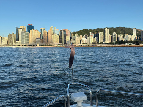 Yacht Holimood-香港必去景点