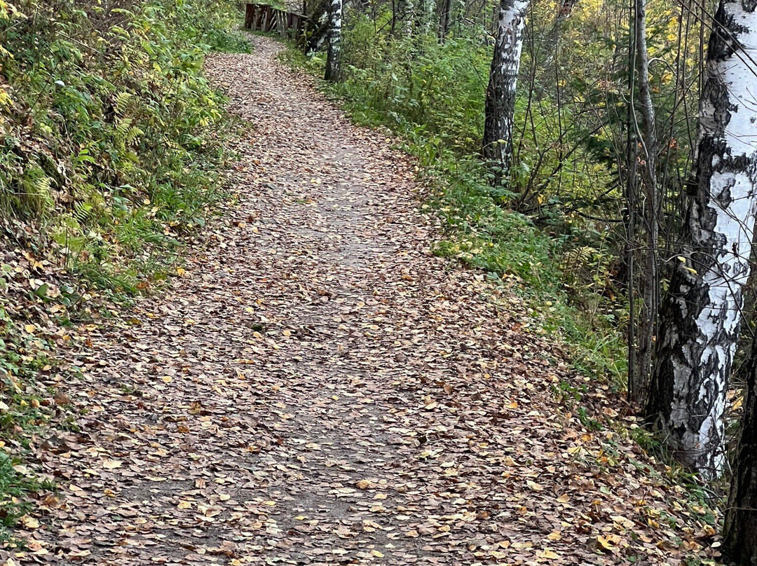 Komsomolskaya Mountain-Gorno-Altaysk必去景点
