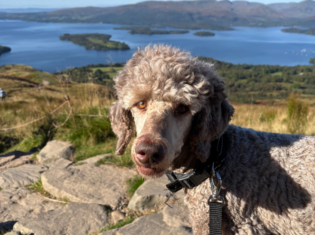 Conic Hill-Balmaha必去景点