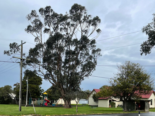 Franklin Street Playground-Port Franklin必去景点