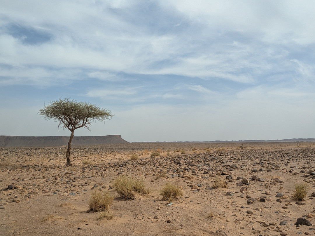 Natives Caravan-Foum Zguid必去景点