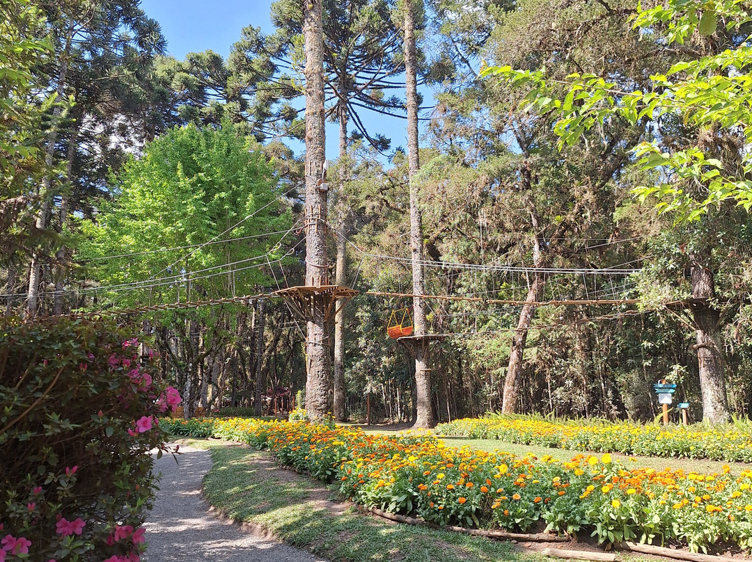 Bosque do Silêncio-坎普斯－杜若尔当必去景点