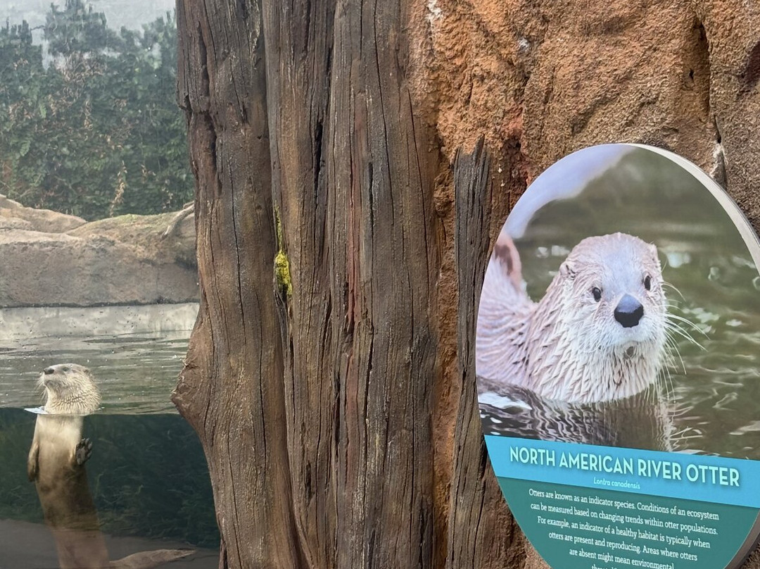 Mississippi Aquarium-格尔夫波特必去景点