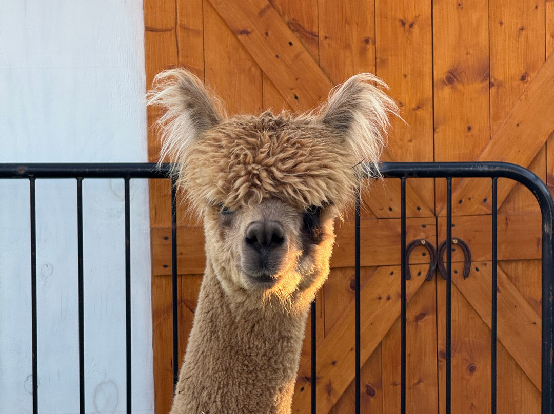 SkyLand Ranch-塞维尔维尔必去景点