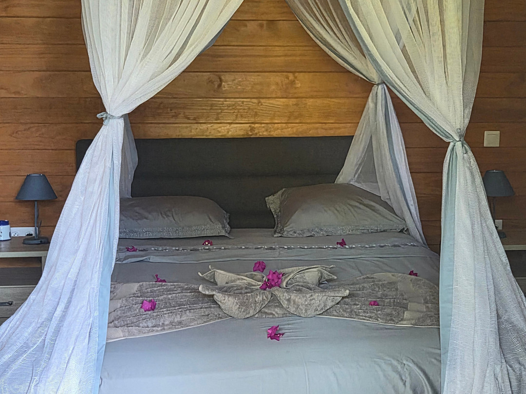 Pension Papahani主图