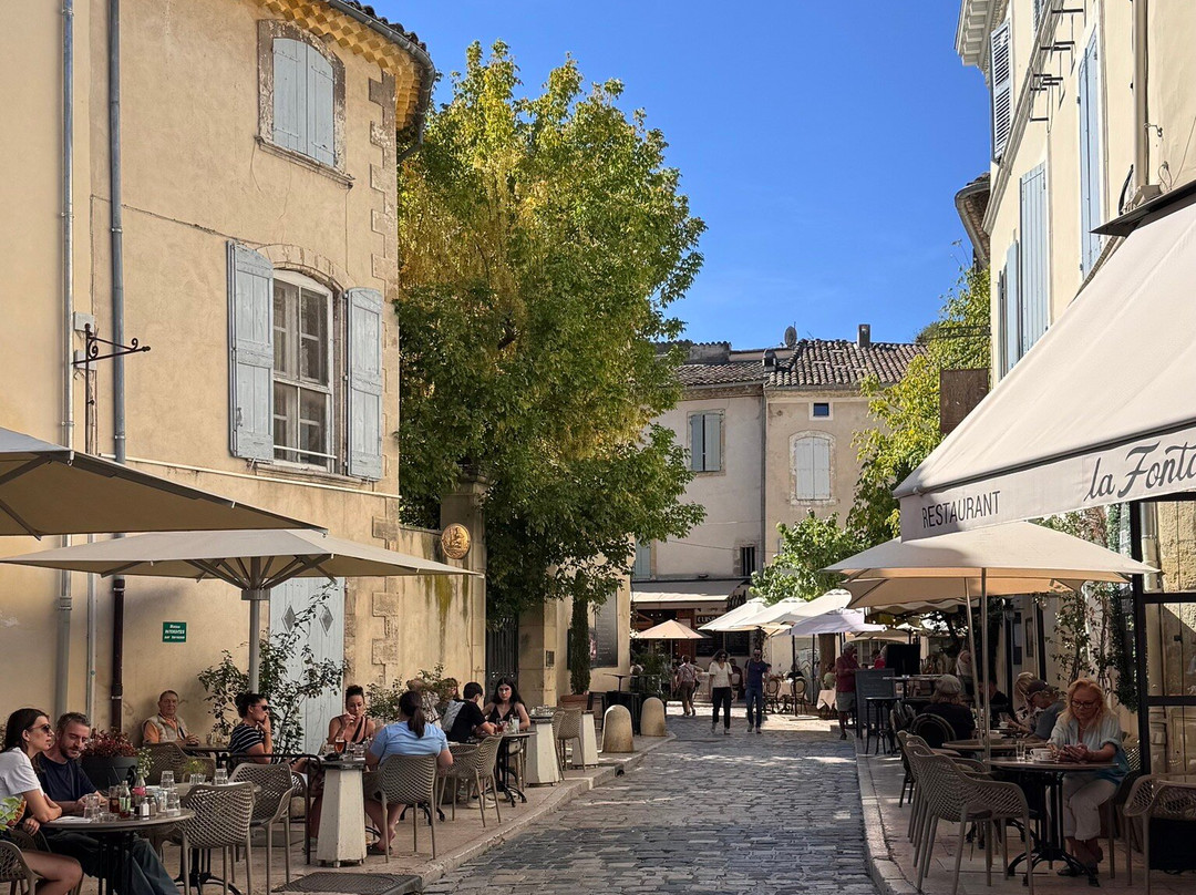 Driver B&C-Lacoste必去景点