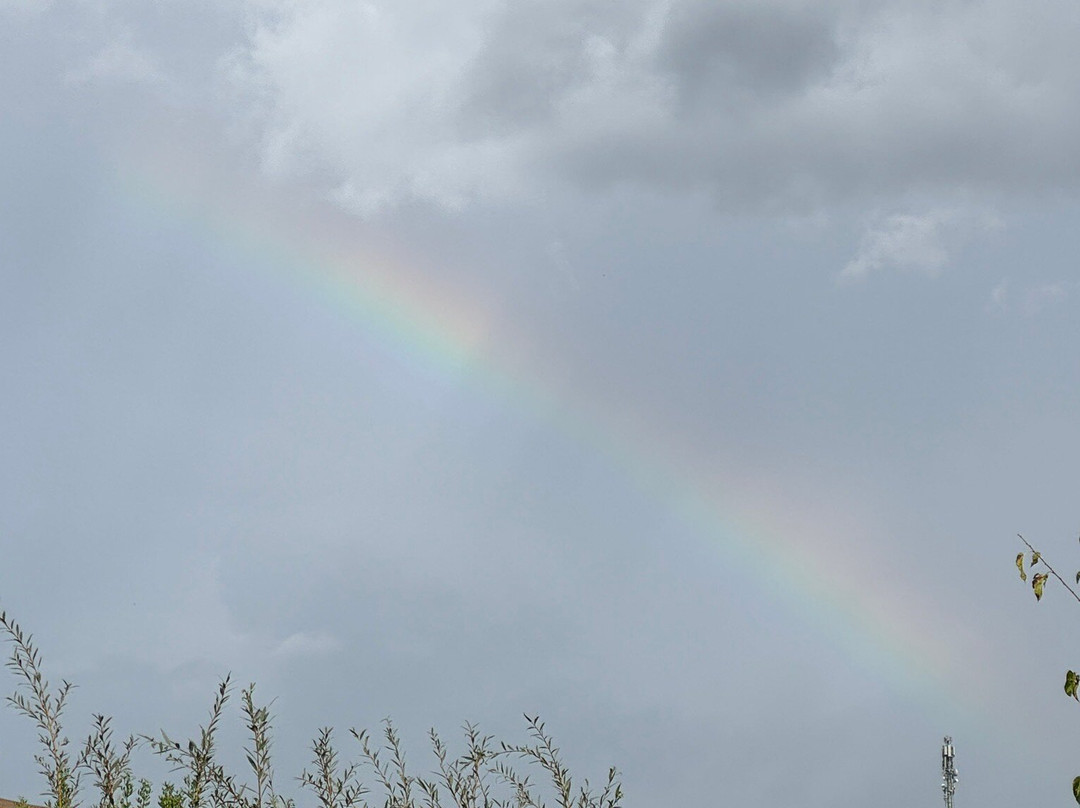 Agriturismo San Fabiano主图