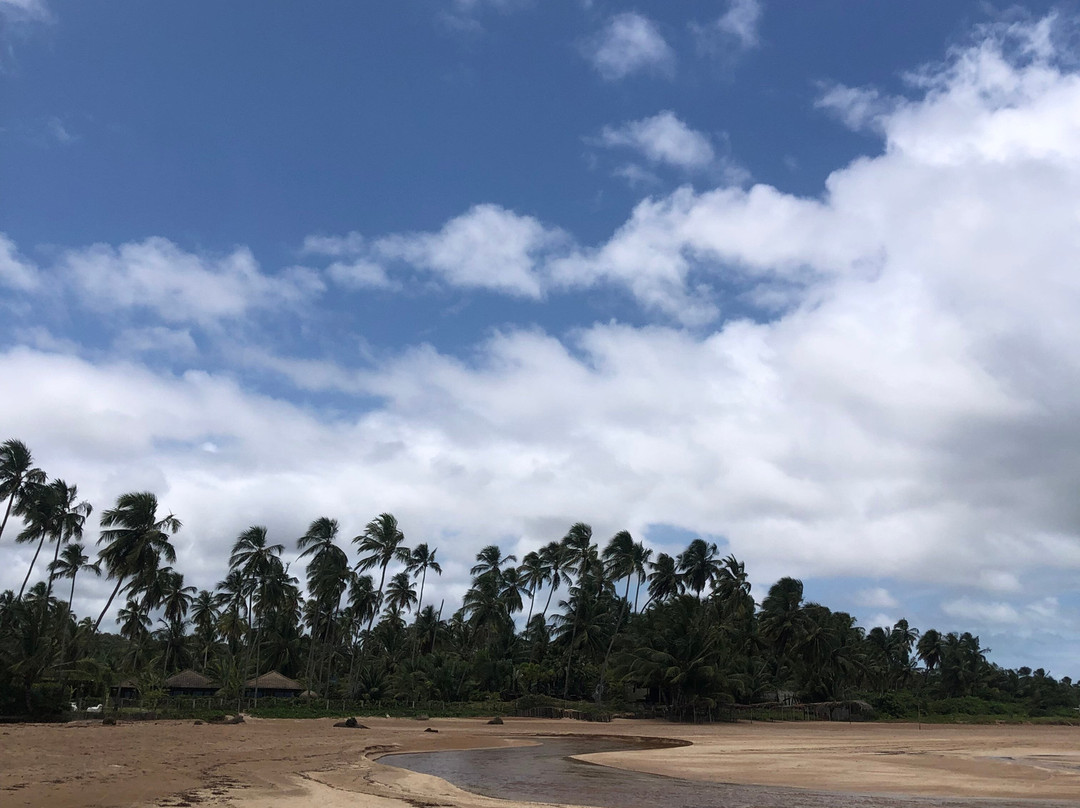 Riacho Beach-Sao Miguel dos Milagres必去景点