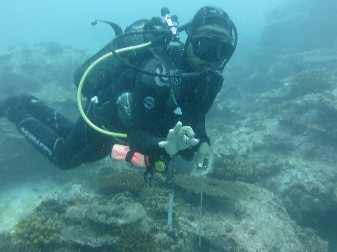 Whitetip Divers-普拉兰岛必去景点