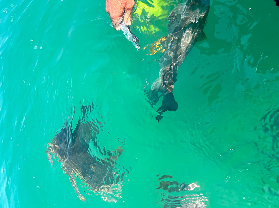 Get Around Island Boat Tours & Hire-Magnetic Island必去景点