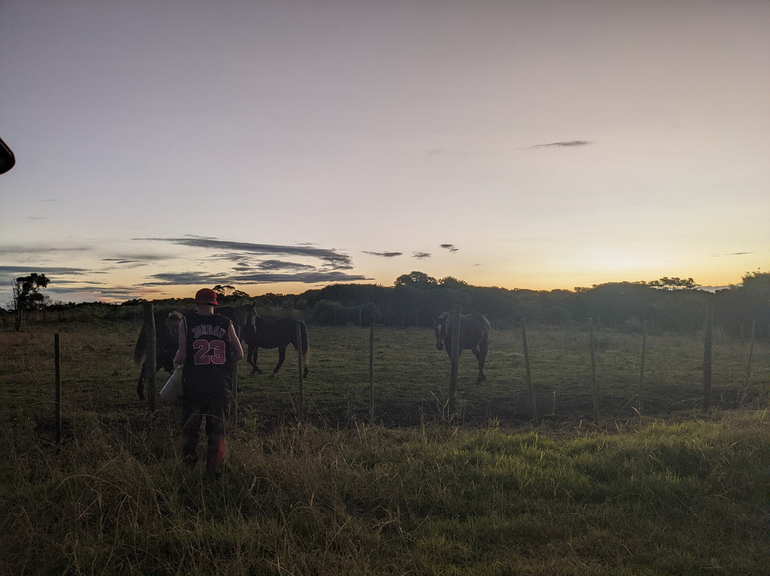 Cintsa Horses-Chintsa West必去景点