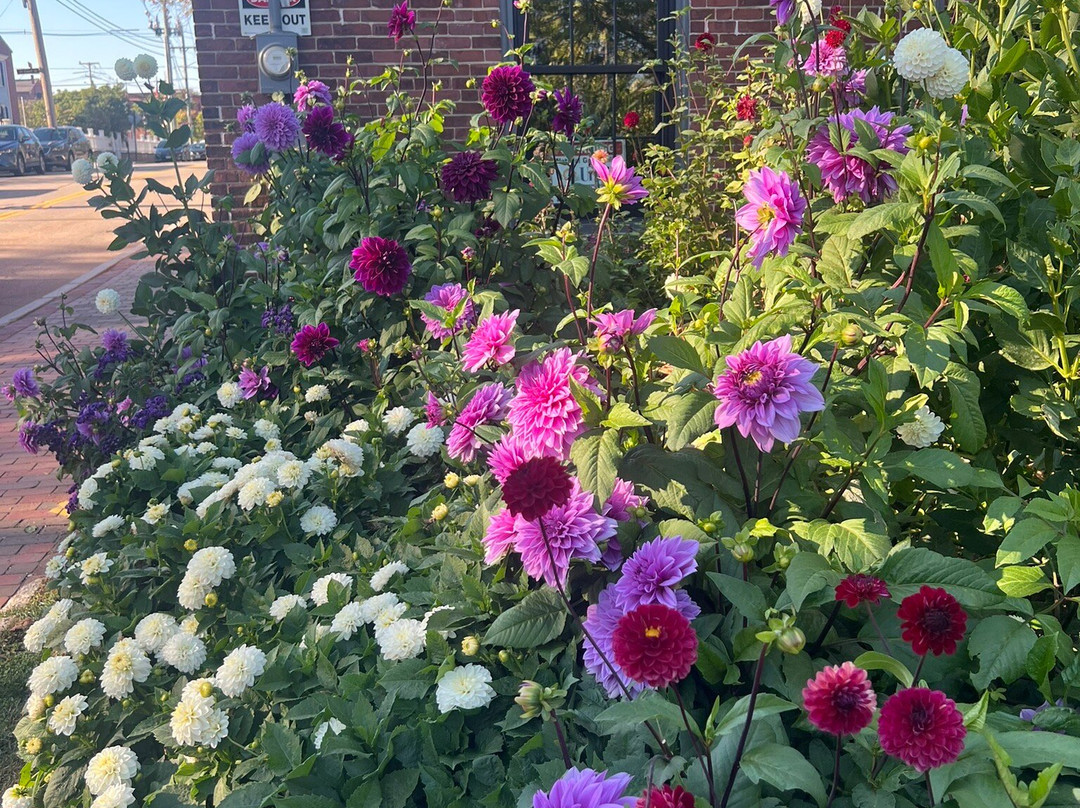 Market Square-朴次茅斯必去景点