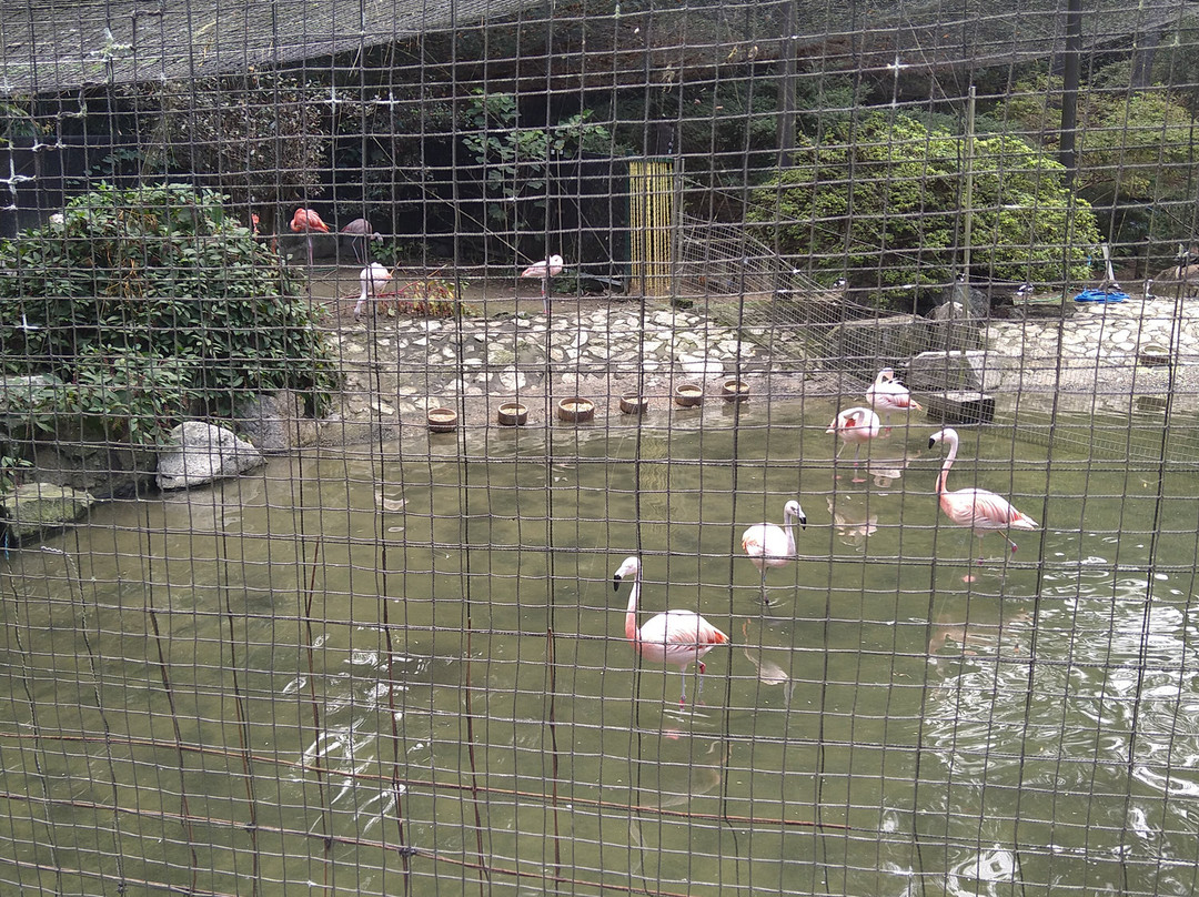 Hamamatsu Zoo logical Garden-滨松市必去景点