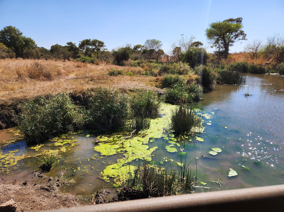 Khalanga Safaris-伐拉博瓦必去景点