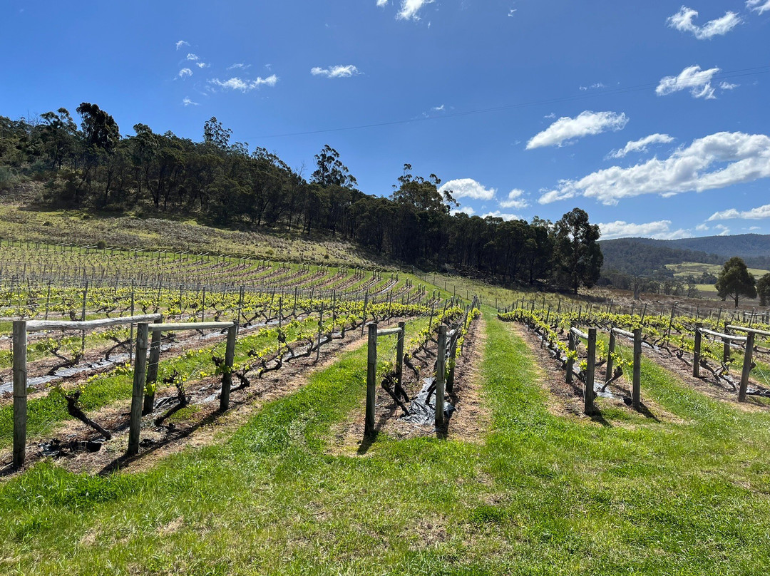 The Long Lunch Tour Co-科尔斯湾必去景点