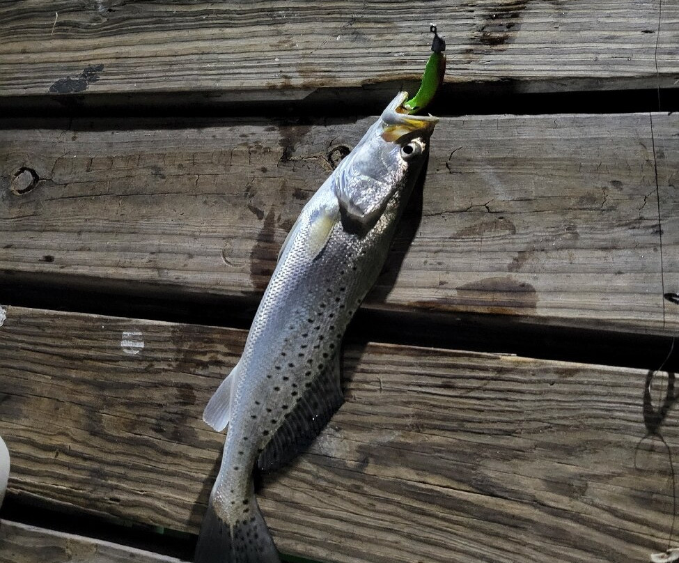 Pirate's Landing Fishing Pier-Port Isabel必去景点