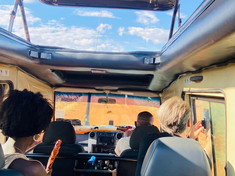 Magical Lions Safaris-迪亚尼必去景点